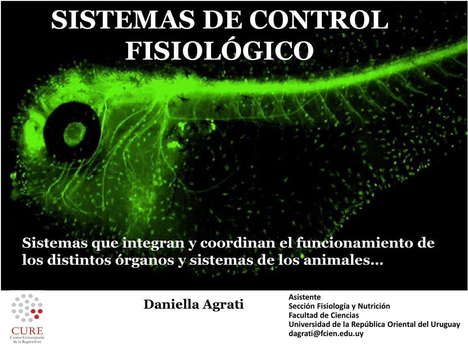 Daniella Agrati Asistente Sección Fisiología y Nutrición Facultad de