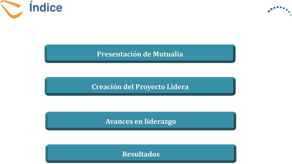 Proyecto Lidera