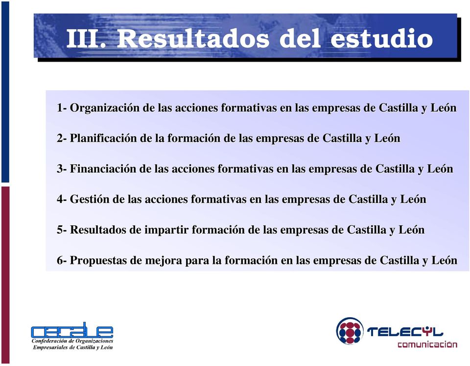 empresas de Castilla y León 4- Gestión de las acciones formativas en las empresas de Castilla y León 5- Resultados de
