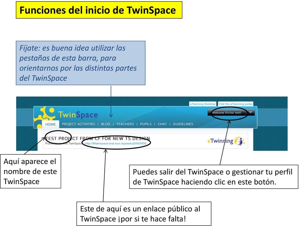 de este TwinSpace Puedes salir del TwinSpace o gestionar tu perfil de TwinSpace