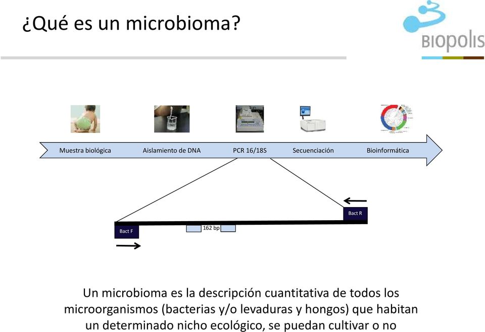 Bioinformática Bact R Bact F 162 bp Un microbioma es la descripción