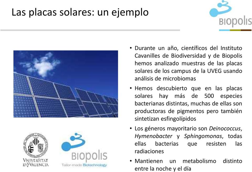 Durante un año, científicos del Instituto Cavanilles de Biodiversidad y de Biopolis hemos Instalar analizado paneles muestrassolares de las placas solares de los campus de la UVEG usando análisis de