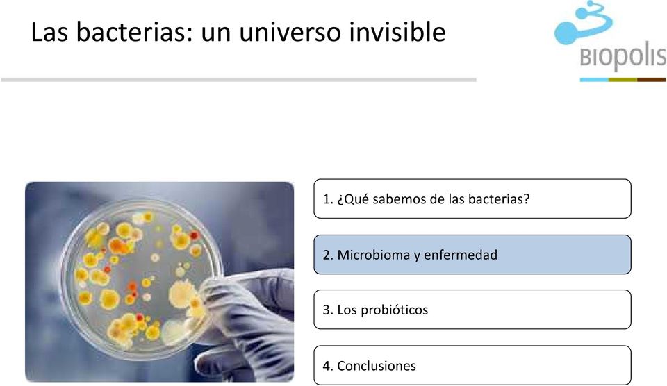 Qué sabemos de las bacterias? 2.