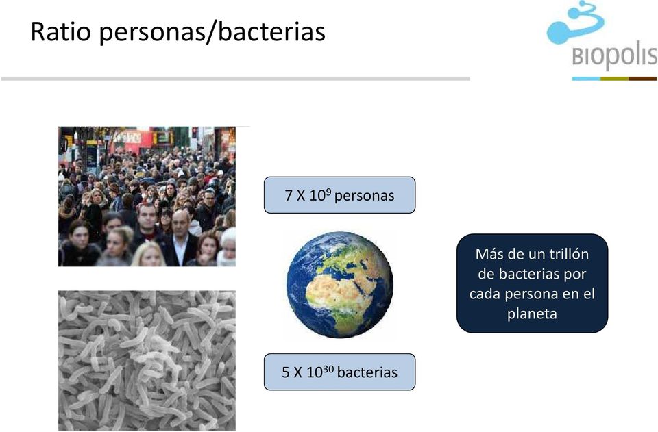 trillón de bacterias por cada