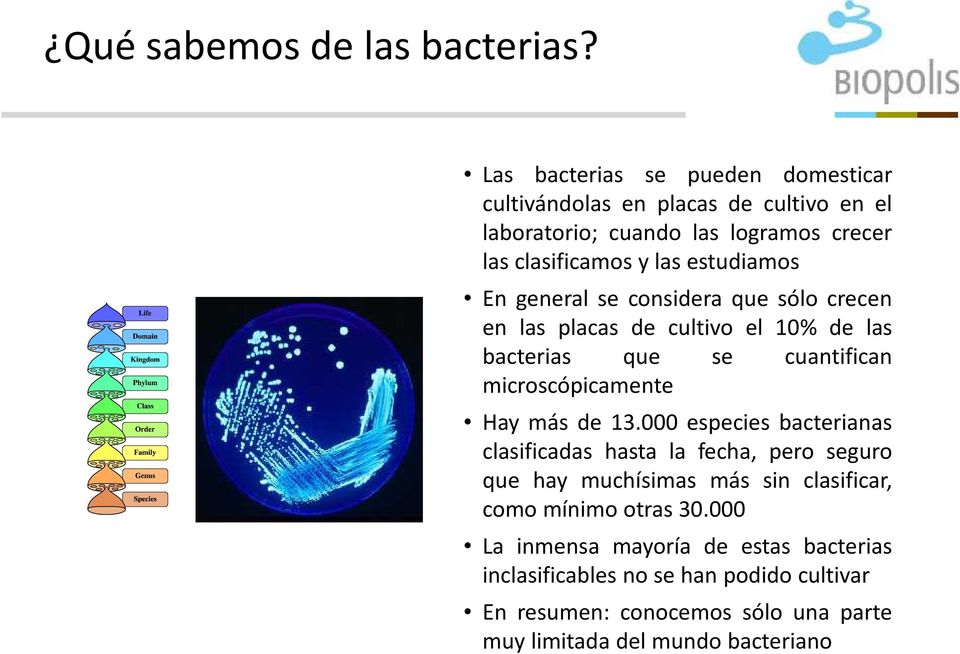 En general se considera que sólo crecen en las placas de cultivo el 10% de las bacterias que se cuantifican microscópicamente Hay más de 13.