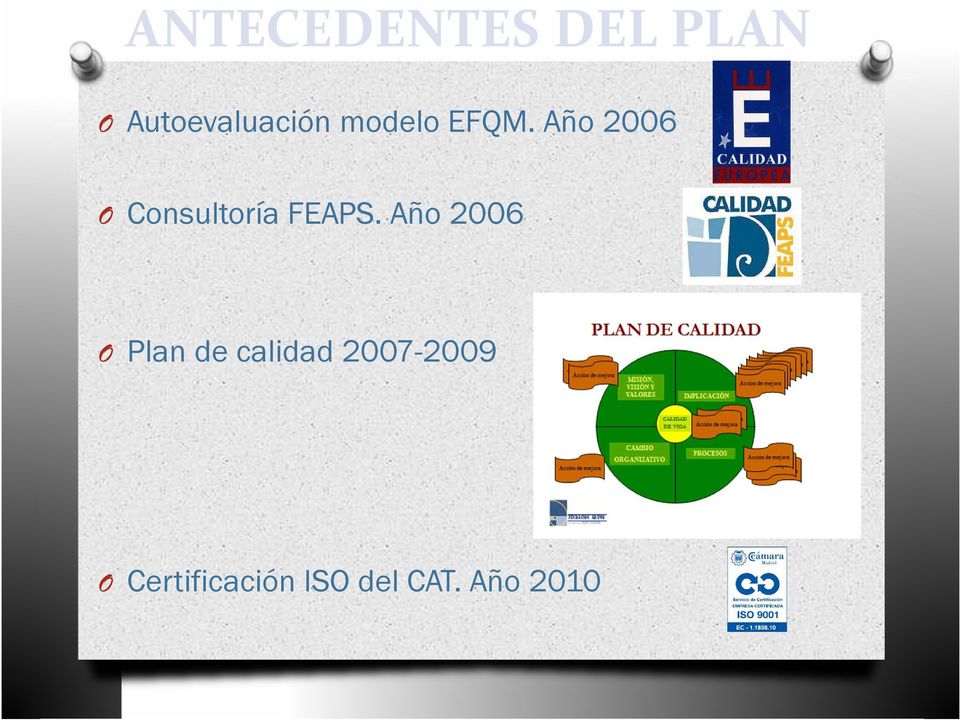 Año 2006 Consultoría FEAPS.