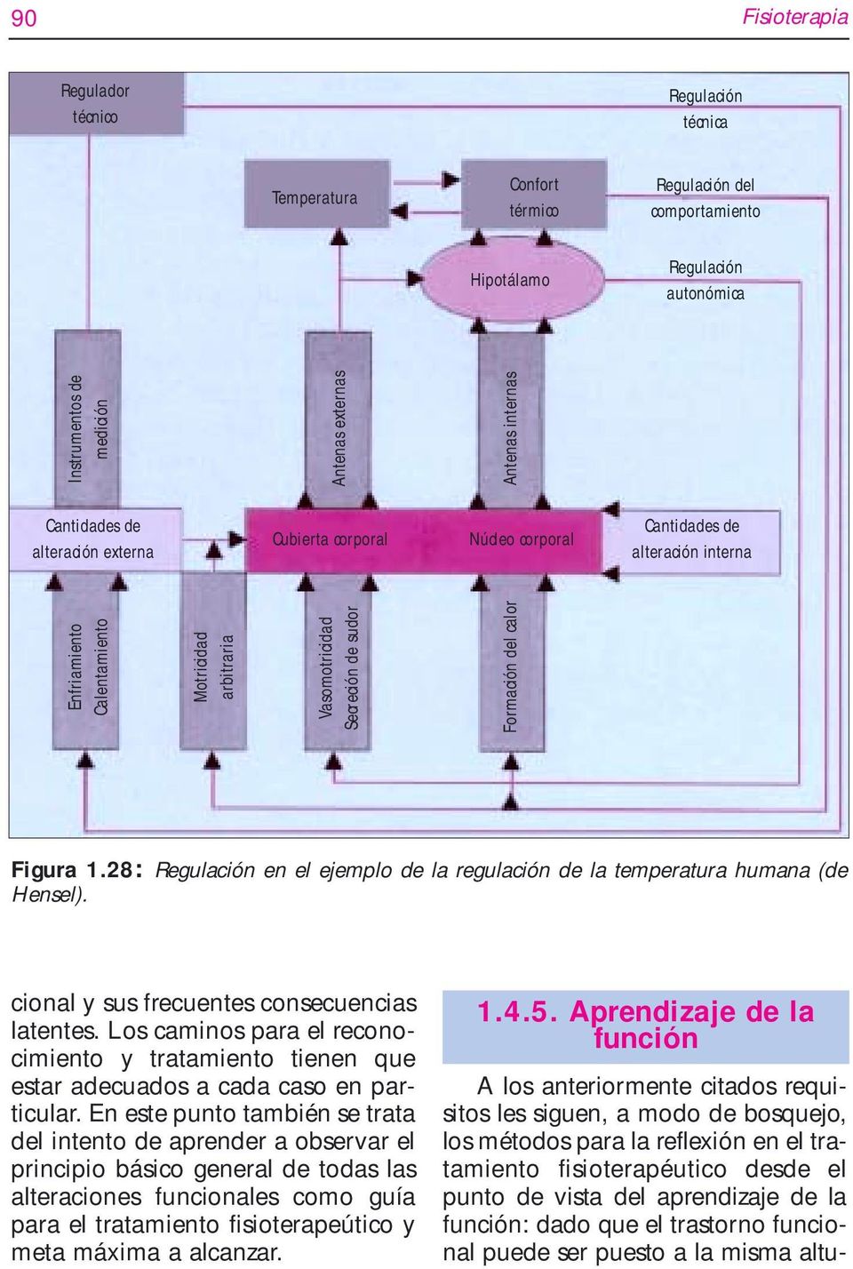 Antenas internas Figura 1.28: Regulación en el ejemplo de la regulación de la temperatura humana (de Hensel). cional y sus frecuentes consecuencias latentes.