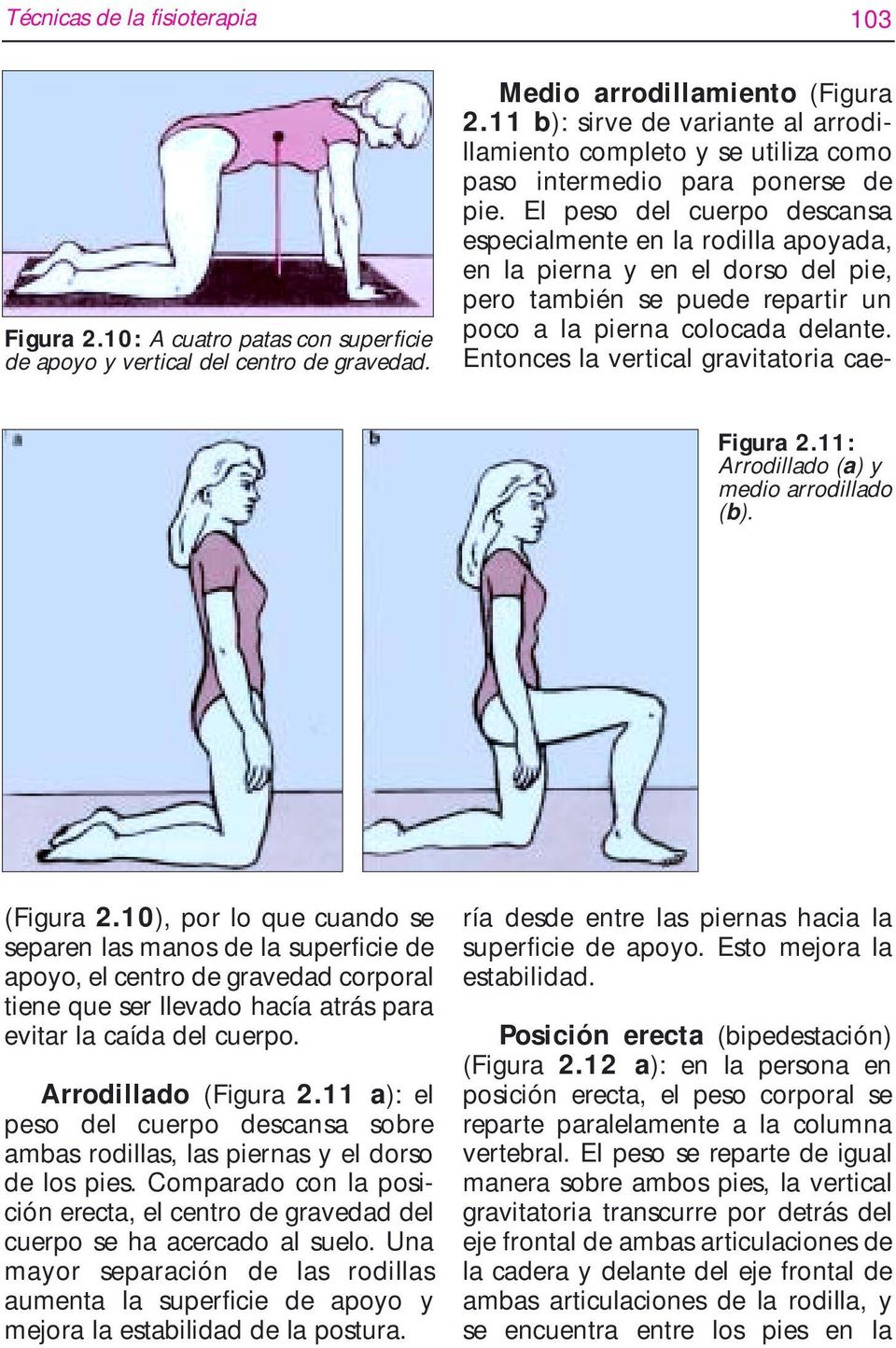 11 a): el peso del cuerpo descansa sobre ambas rodillas, las piernas y el dorso de los pies. Comparado con la posición erecta, el centro de gravedad del cuerpo se ha acercado al suelo.