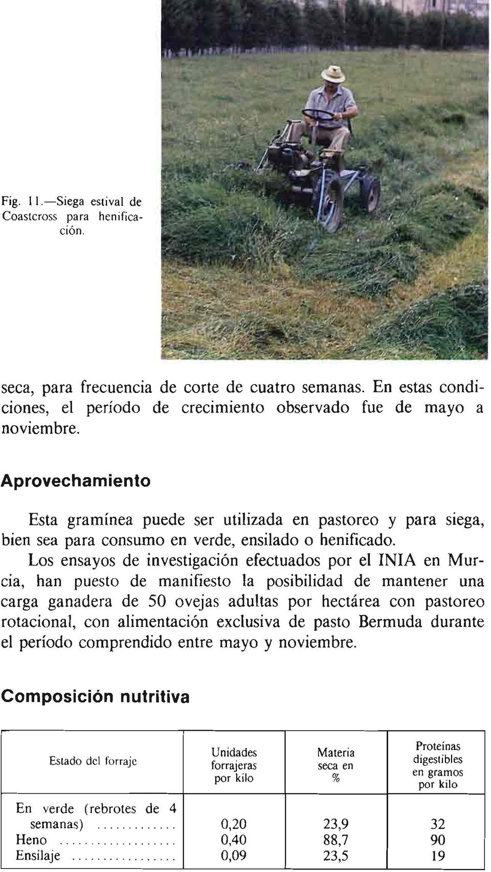 Los ensayos de investigación efectuados por el INIA en Murcia, han puesto de manifiesto la posibilidad de mantener una carga ganadera de 50 ovejas adultas por hectárea con pastoreo rotacional, con