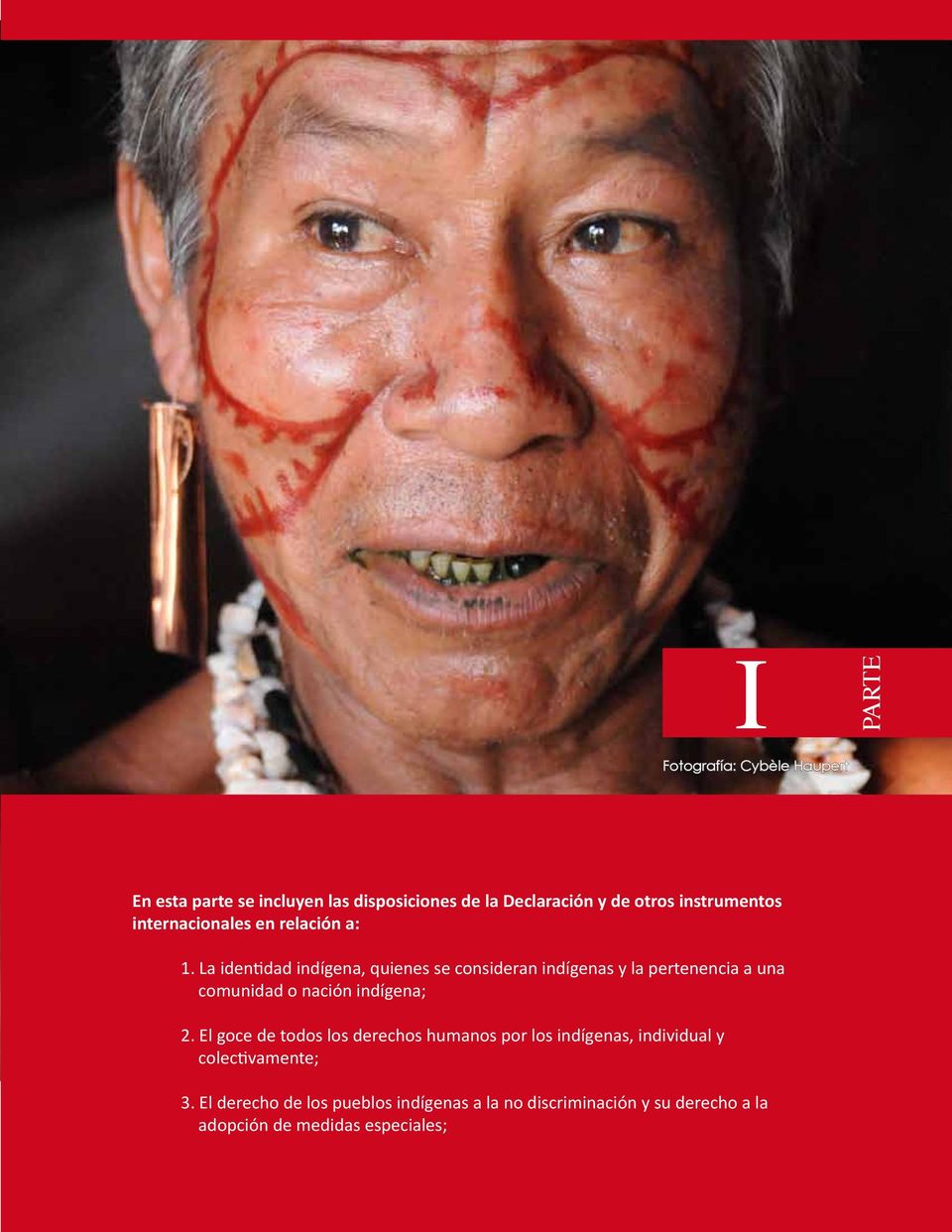 instrumentos internacionales en relación a: 1. La identidad indígena, quienes se consideran indígenas y la pertenencia a una comunidad o nación indígena; 2.