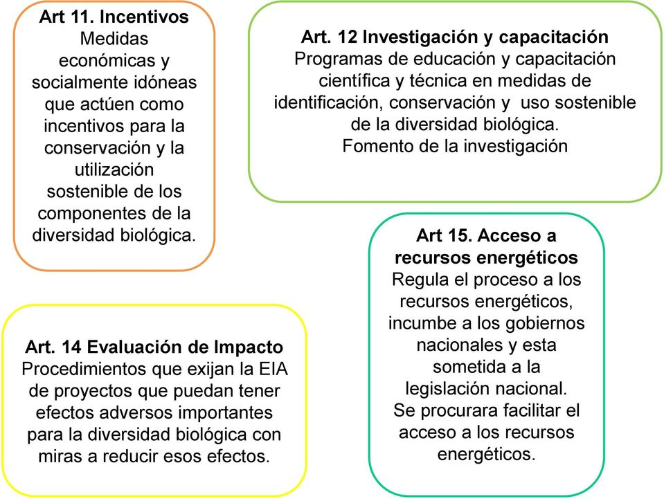 12 Investigación y capacitación Programas de educación y capacitación científica y técnica en medidas de identificación, conservación y uso sostenible de la diversidad biológica.