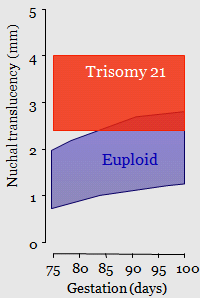 Bioquímica Sérica En la trisomía 21, comparado con embarazos euploides: La diferencia en los marcadores bioquímicos es mayor en la semana 11 que en