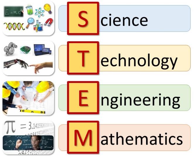 Este año se han definido los siguientes temas para orientar su propuesta educativa: STEM: CTIM es el equivalente en español del termino STEM, el acrónimo de los términos en inglés Science,