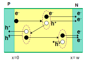 Los portadores adquieren energía cinética y vuelven a repetir del proceso, produciendo una avalancha de portadores, que contribuyen a la corriente inversa, Figura 1.