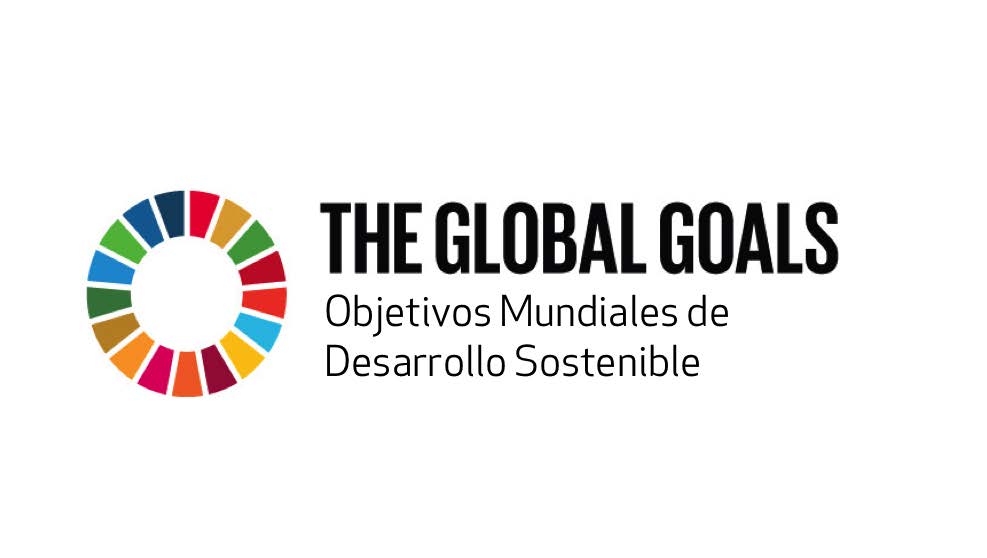 La Lección más Grande del Mundo es un proyecto educativo colaborativo destinado a apoyar el anuncio de los Objetivos Mundiales de Desarrollo Sostenible de las Naciones Unidas.