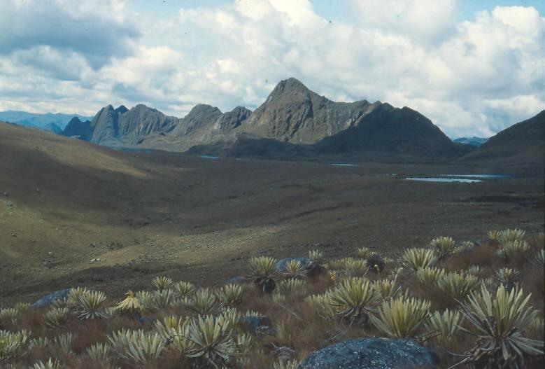 Foto 3.4: Paramo de Sumapaz con circos y lagunas glaciales en el sector del Alto de Curubital. Típicamente, la zona actuales de paramo corresponden a las zonas glaciadas durante el Pleistoceno.