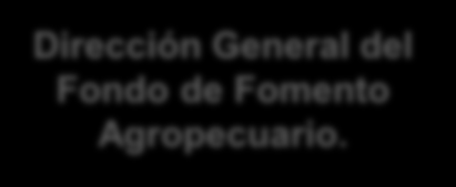 ESTRUCTURA ORGANICA Secretaría Dirección Financiera Dirección General del Fondo de Fomento Agropecuario.