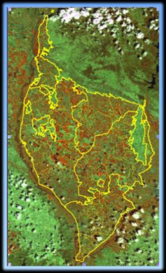 Técnica seguida Cada 16 días se obtiene una fotografía de Landsat 8. Se visitan unas fincas patrón, detectando el tipo de cultivo y su madurez.