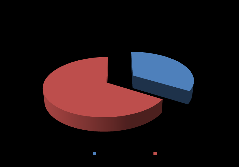 Al cierre de diciembre de 2012, 34% de los