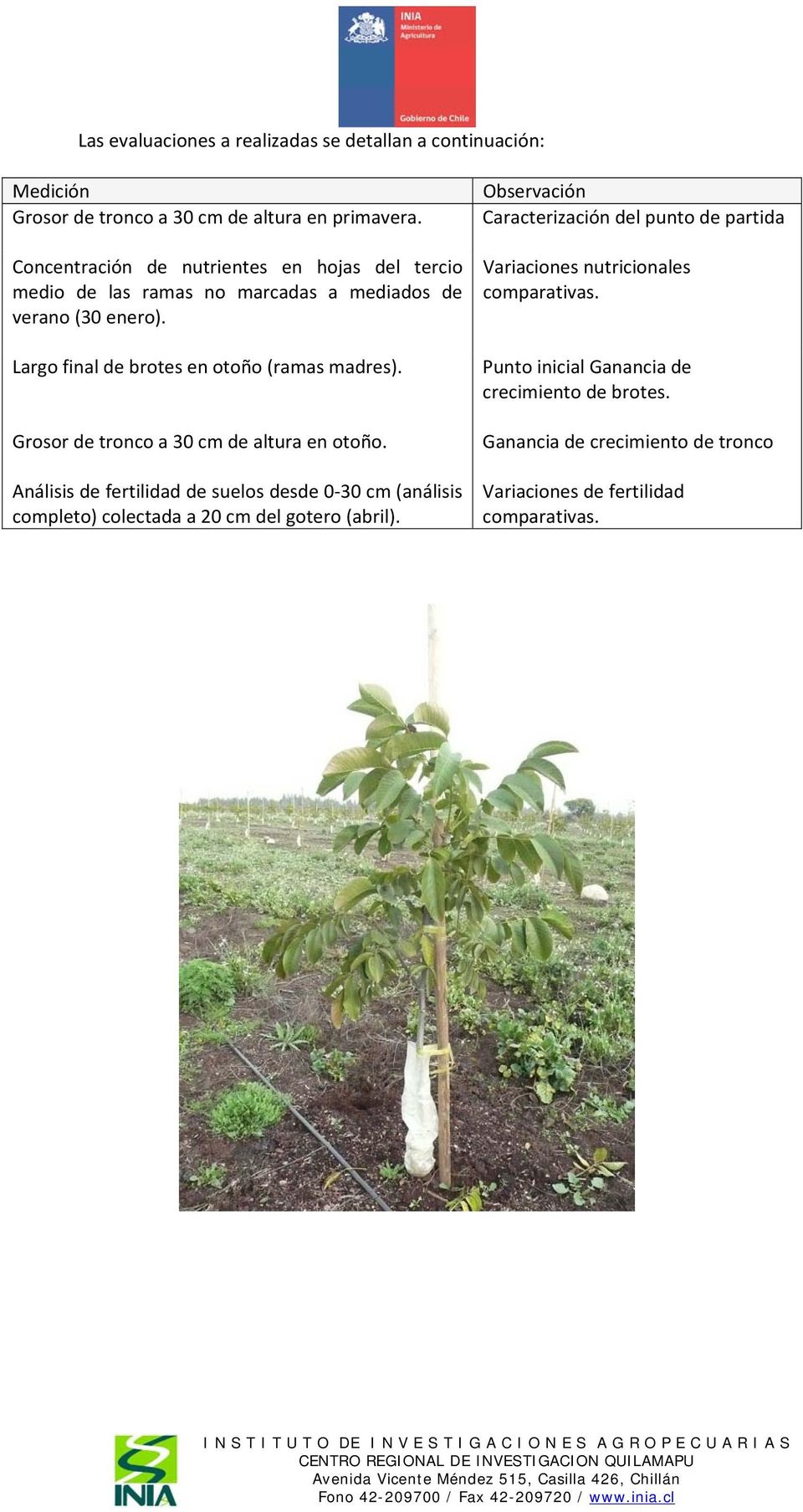Grosor de tronco a 30 cm de altura en otoño. Análisis de fertilidad de suelos desde 0 30 cm (análisis completo) colectada a 20 cm del gotero (abril).