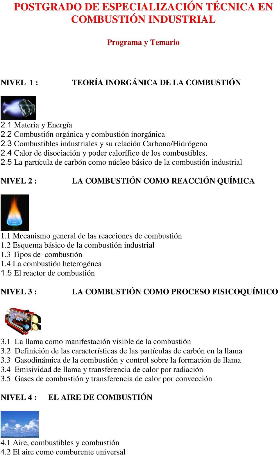 1 Mecanismo general de las reacciones de combustión 1.2 Esquema básico de la combustión industrial 1.3 Tipos de combustión 1.4 La combustión heterogénea 1.