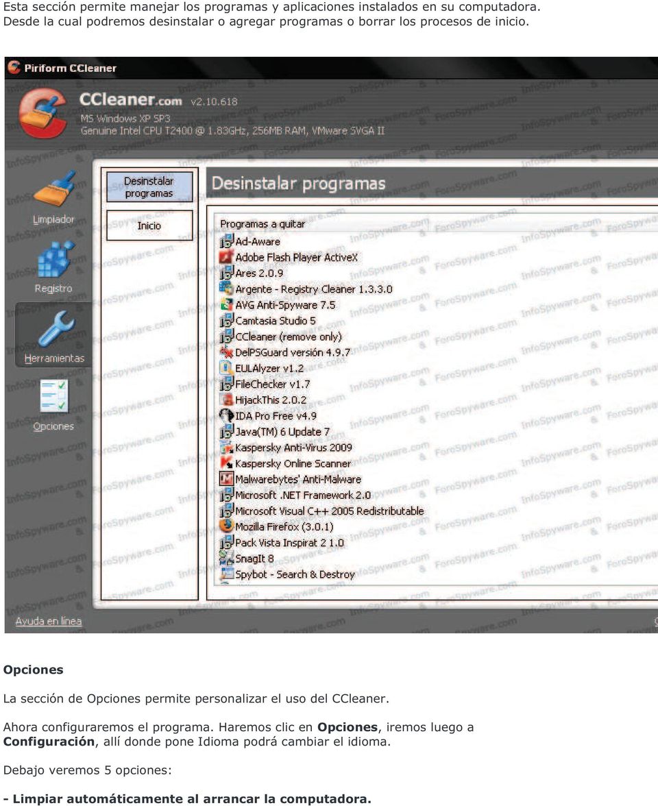 Opciones La sección de Opciones permite personalizar el uso del CCleaner. Ahora configuraremos el programa.