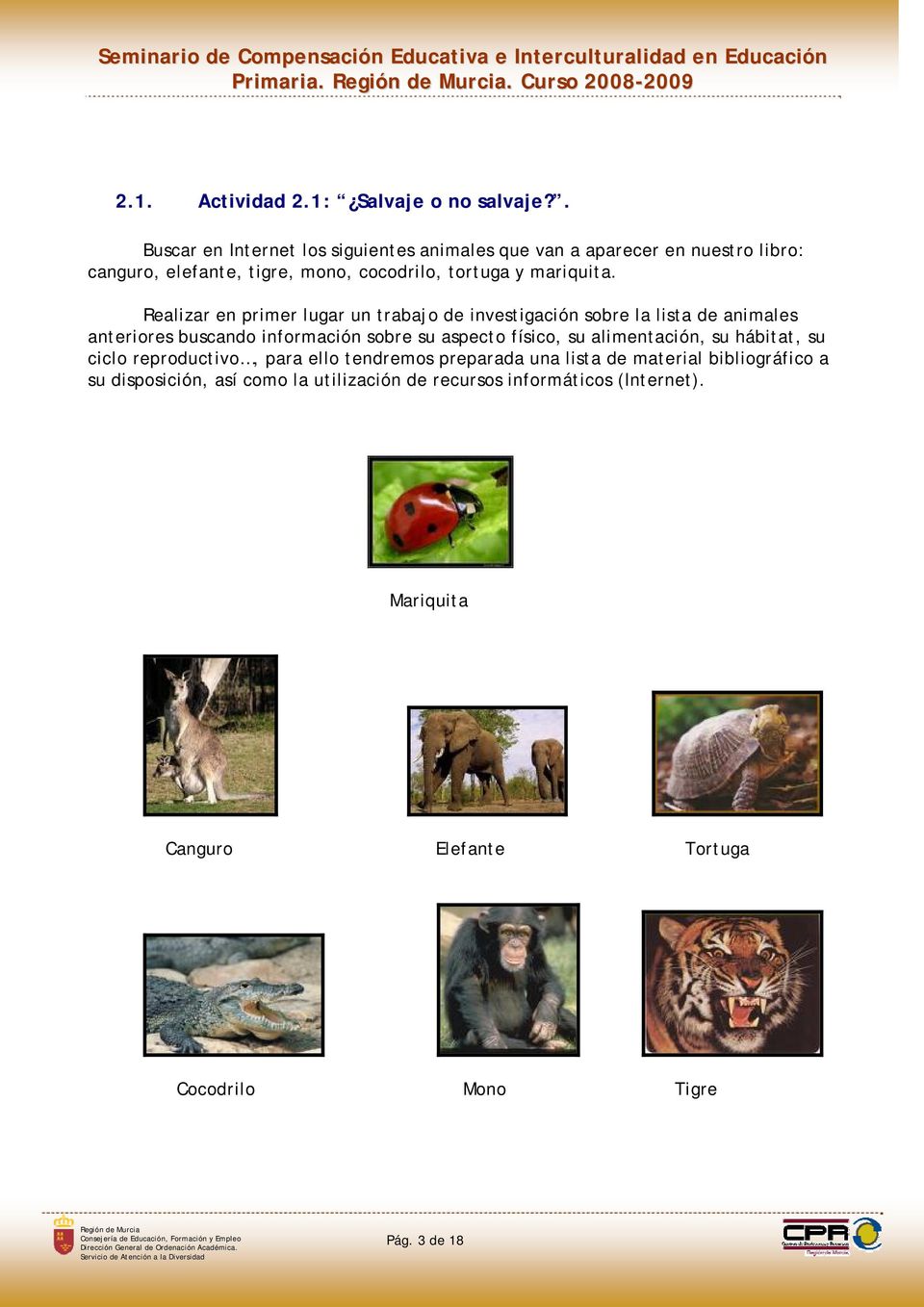 Realizar en primer lugar un trabajo de investigación sobre la lista de animales anteriores buscando información sobre su aspecto físico, su alimentación,