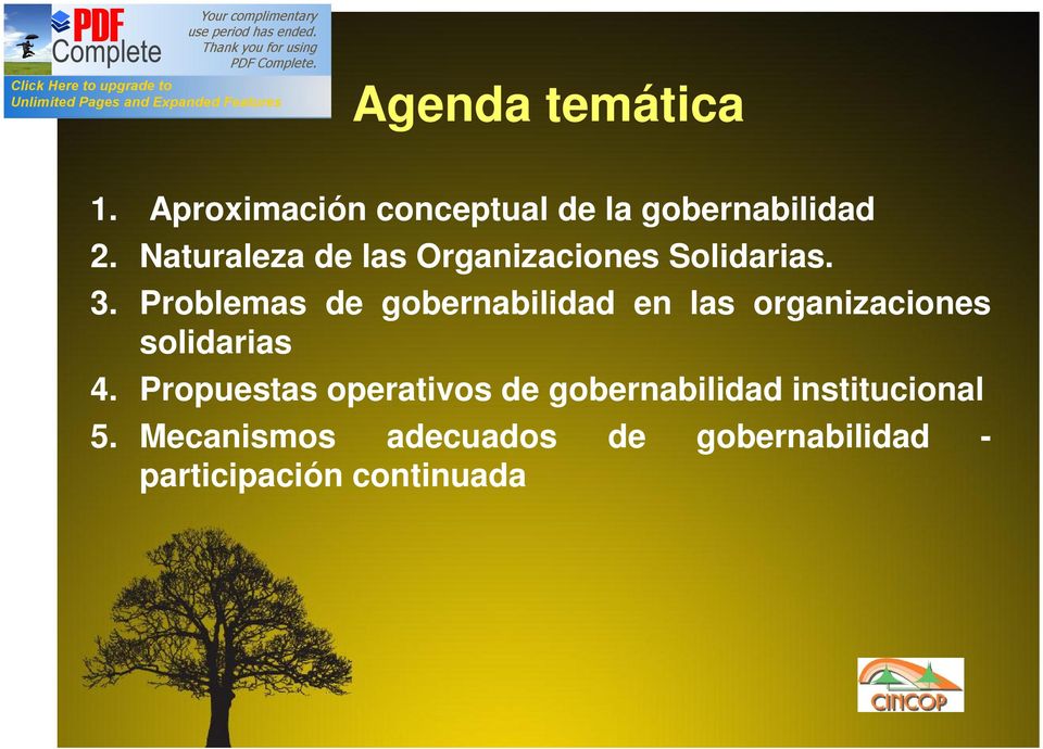 Problemas de gobernabilidad en las organizaciones solidarias 4.