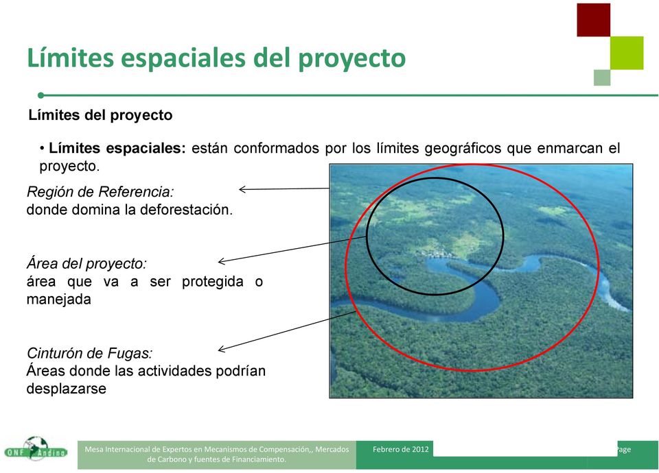 Región de Referencia: donde domina la deforestación.
