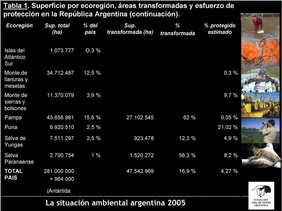 712.487 12,5 % 0,3 % Monte de sierras y bolsones 11.370.079 3,9 % 9,7 % Pampa 43.656.981 15,6 % 27.102.545 62 % 0,05 % Puna 6.920.