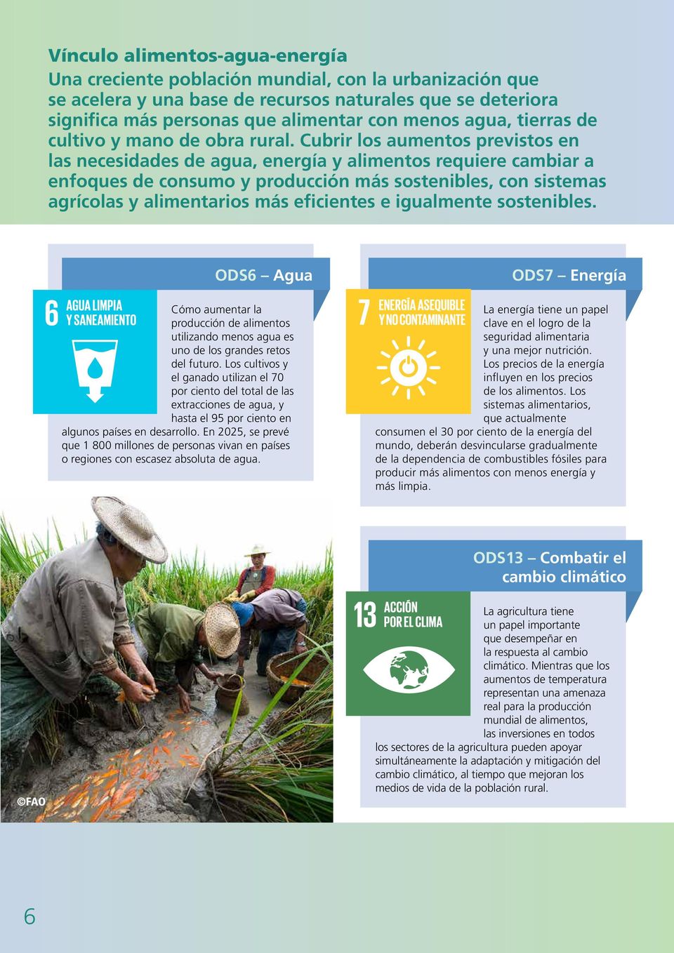 Cubrir los aumentos previstos en las necesidades de agua, energía y alimentos requiere cambiar a enfoques de consumo y producción más sostenibles, con sistemas agrícolas y alimentarios más eficientes