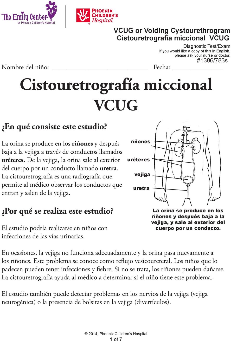 De la vejiga, la orina sale al exterior del cuerpo por un conducto llamado uretra. La cistouretrografía es una radiografía que permite al médico observar los conductos que entran y salen de la vejiga.