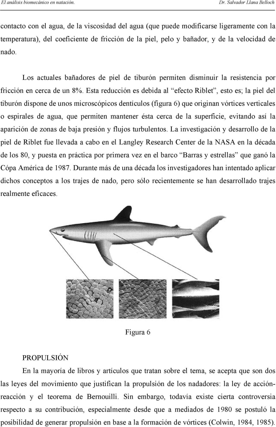 Esta reducción es debida al efecto Riblet, esto es; la piel del tiburón dispone de unos microscópicos dentículos (figura 6) que originan vórtices verticales o espirales de agua, que permiten mantener