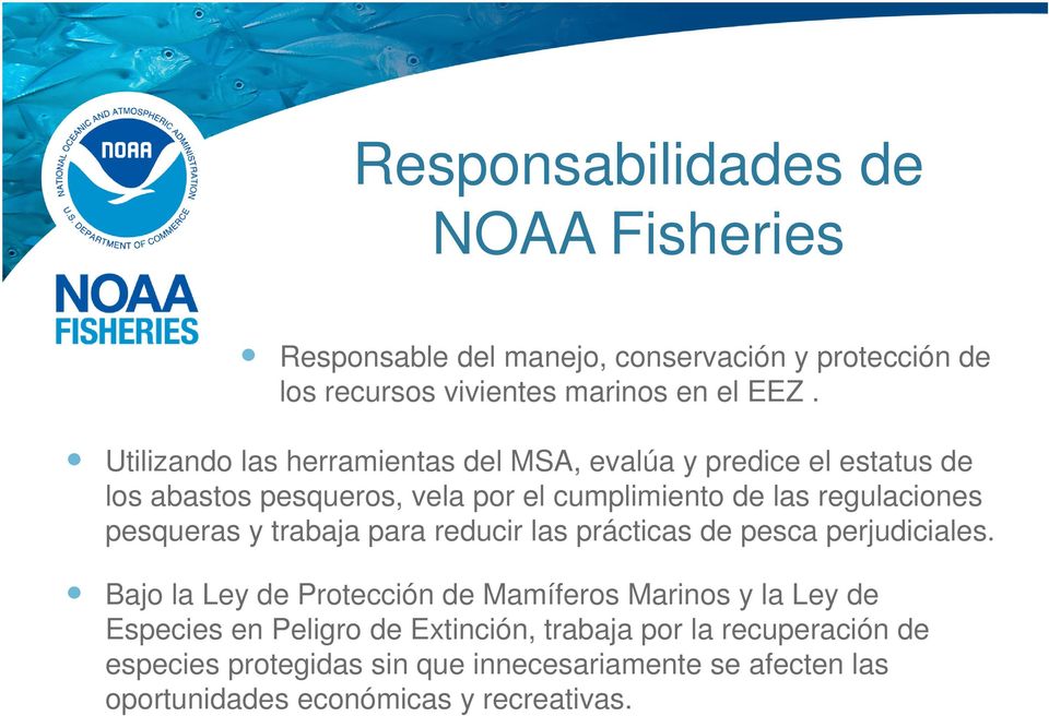 pesqueras y trabaja para reducir las prácticas de pesca perjudiciales.