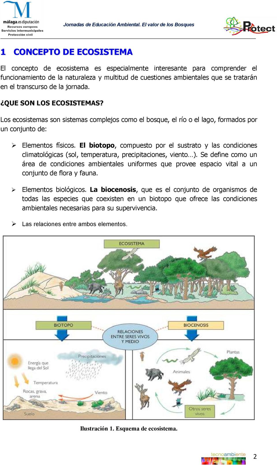El biotopo, compuesto por el sustrato y las condiciones climatológicas (sol, temperatura, precipitaciones, viento ).