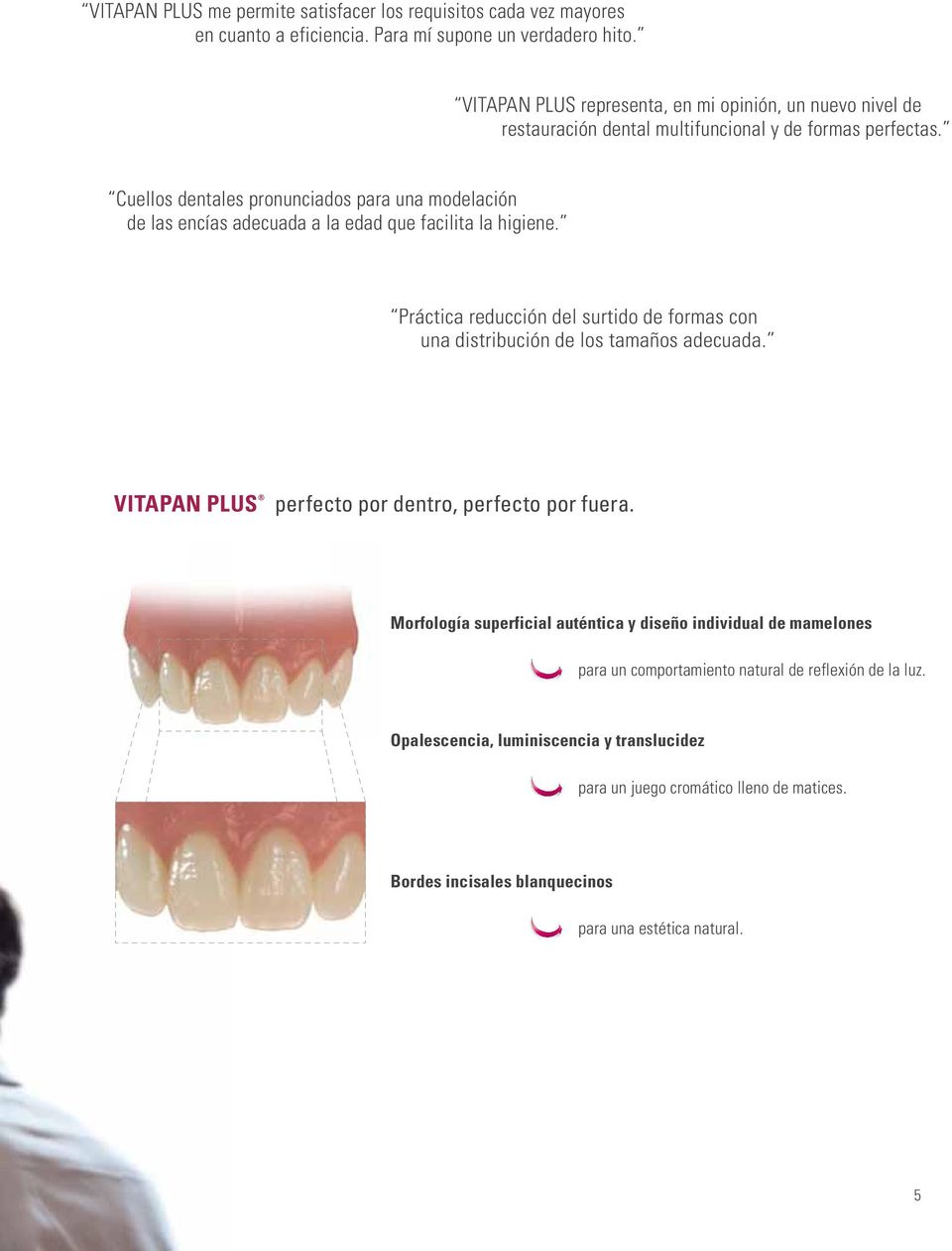 Cuellos dentales pronunciados para una modelación de las encías adecuada a la edad que facilita la higiene.
