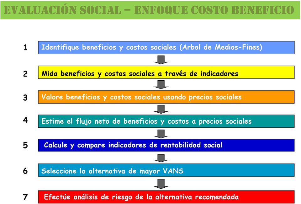 sociales 4 Estime el flujo neto de beneficios y costos a precios sociales 5 Calcule y compare indicadores de