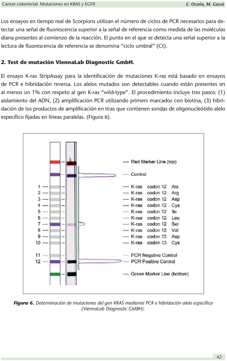 Test de mutación ViennaLab Diagnostic GmbH. El ensayo K-ras StripAssay para la identificación de mutaciones K-ras está basado en ensayos de PCR e hibridación reversa.