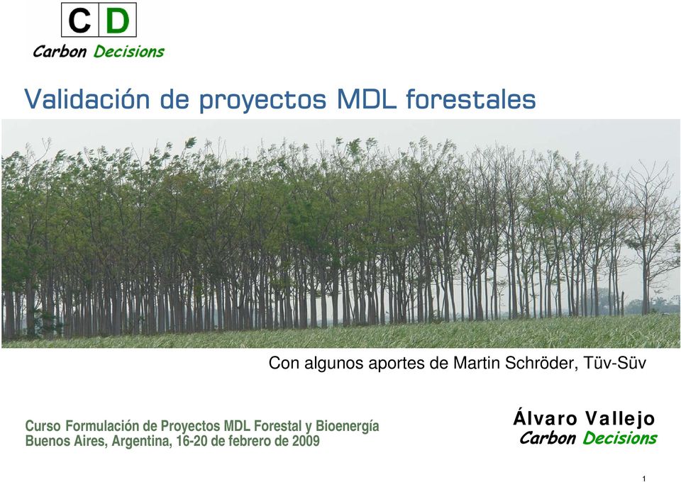 Proyectos MDL Forestal y Bioenergía Buenos Aires,