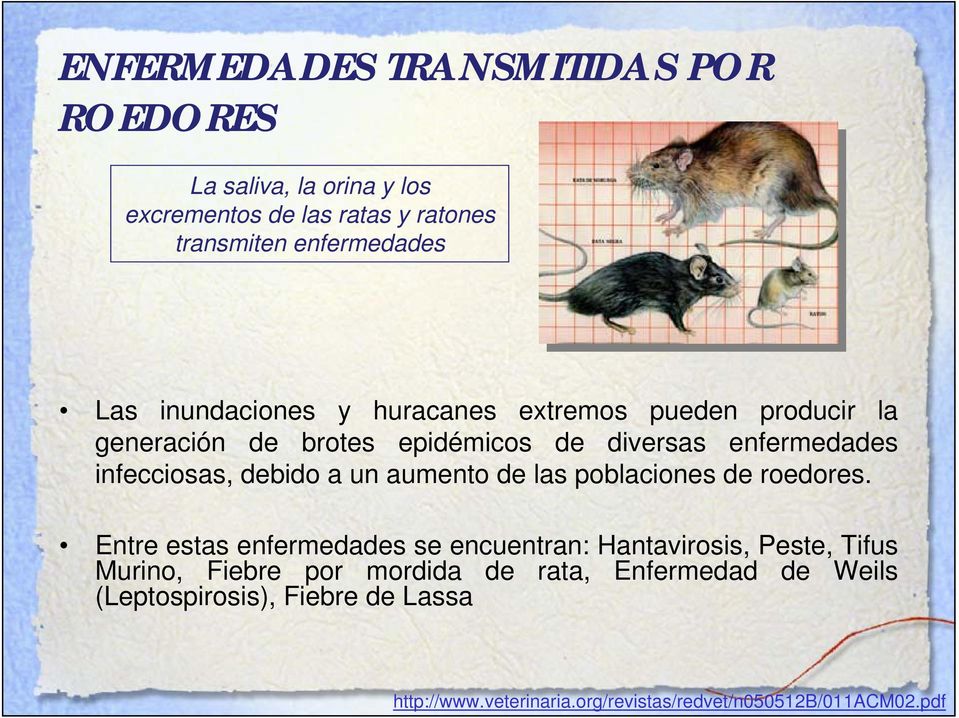 enfermedades infecciosas, debido a un aumento de las poblaciones de roedores.