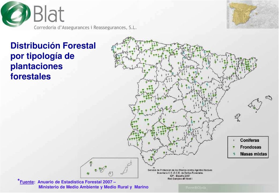 Anuario de Estadística Forestal 2007