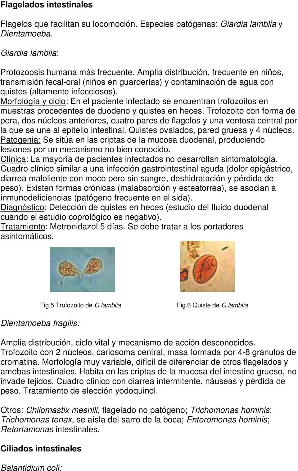 Morfología y ciclo: En el paciente infectado se encuentran trofozoitos en muestras procedentes de duodeno y quistes en heces.