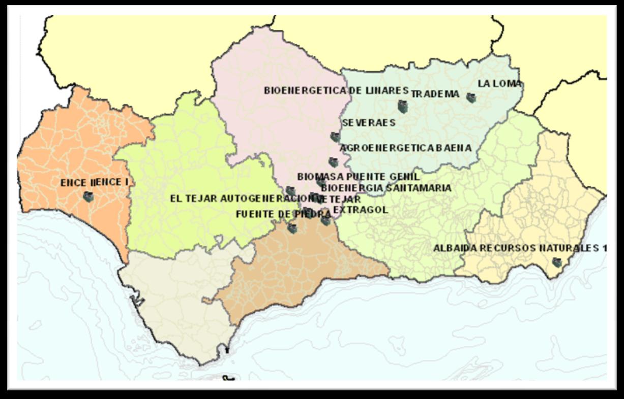 Distribución provincial del censo porcino en Andalucía