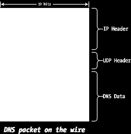 Como esta conformado un paquete DNS?