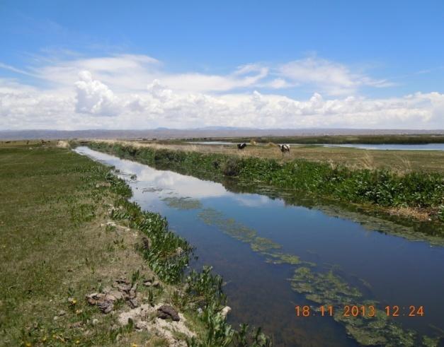 Ingreso del río Katari a la bahía de Cohana después de su confluencia con el río Sehuenca, Puerto Pérez.