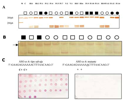 Con el fin de determinar si estos cambios se no eran polimorfismos frecuentes del gen GDAP1, se estudiaron 134 cromosomas de 67 individuos normales de población española.