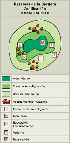 Zonificación: de una Reserva de Biosfera La zonificación es el ordenamiento de las actividades en el espacio.
