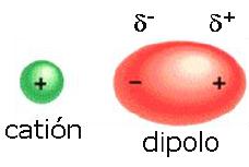 C. Covalente Dativo o Coordinado: Es un tipo especial de enlace covalente, en el que uno de los átomos no metálicos aporta el par de electrones y el otro los acepta para completar su capa de valencia.