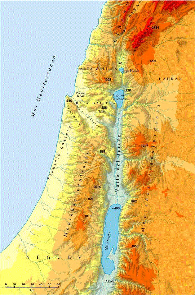 Palestina, que significa "tierra de los filisteos", ha recibido diversos nombres a lo largo de la historia: Canaán, Israel, Judea, Tierra Santa.