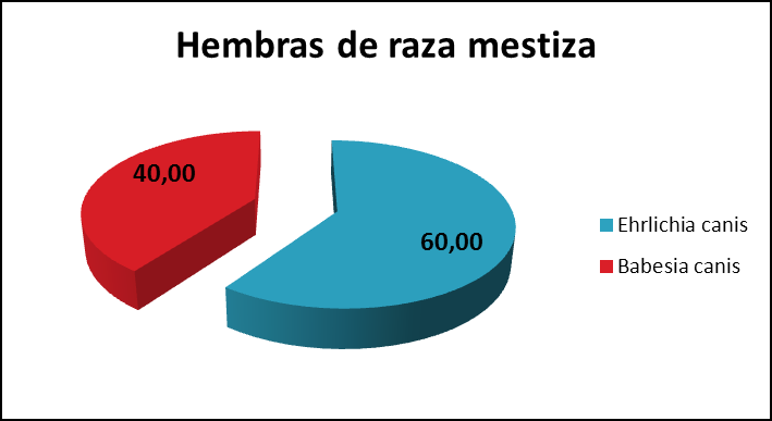 GRÁFICO 16. 6. Total de casos positivos de los diferentes hemoparásitos en estudio (Ehrlichia canis, Babesia canis y Anaplasma phagocytophilum) en hembras puras del área urbana ciudad de Cuenca.